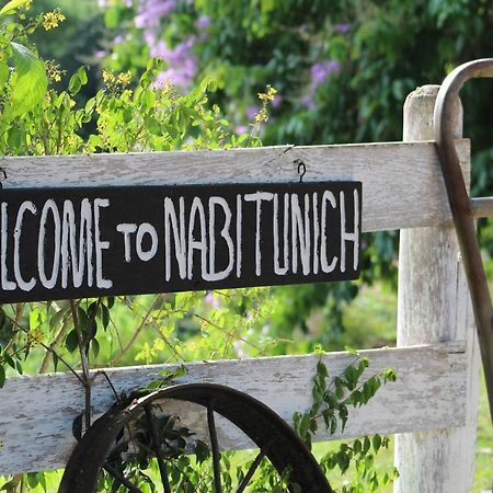Nabitunich Villa San Ignacio Eksteriør billede